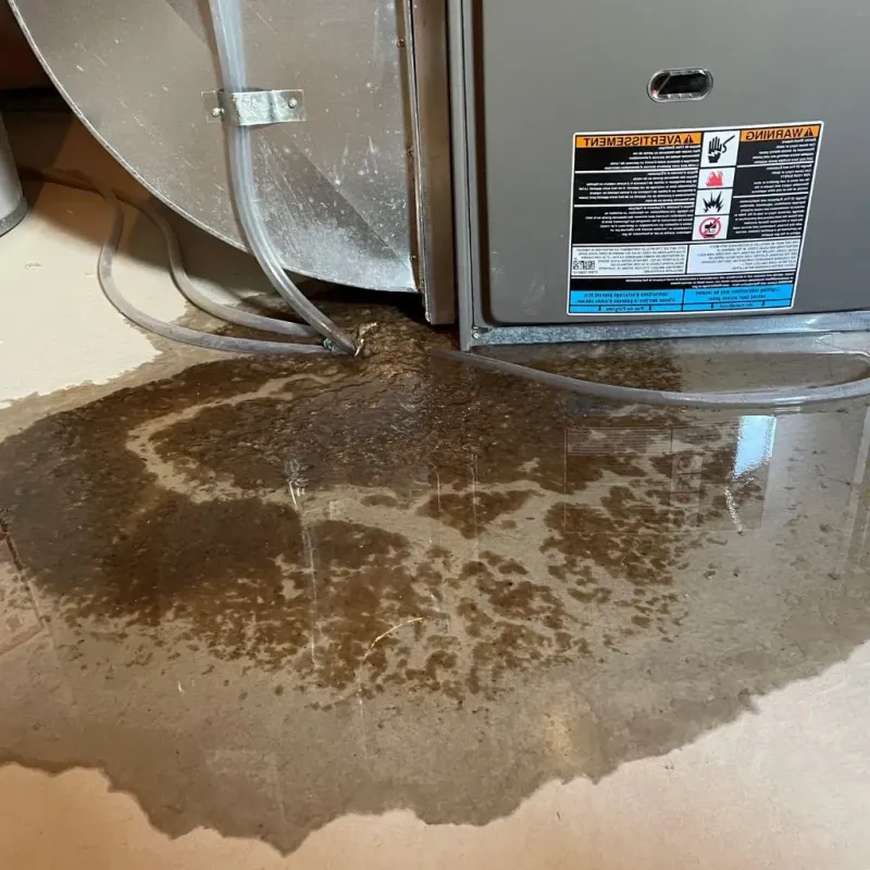 Pipe Burst and Leak Restoration in Broken Arrow, OK